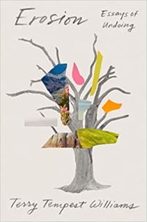 Erosion - Essays of Undoing